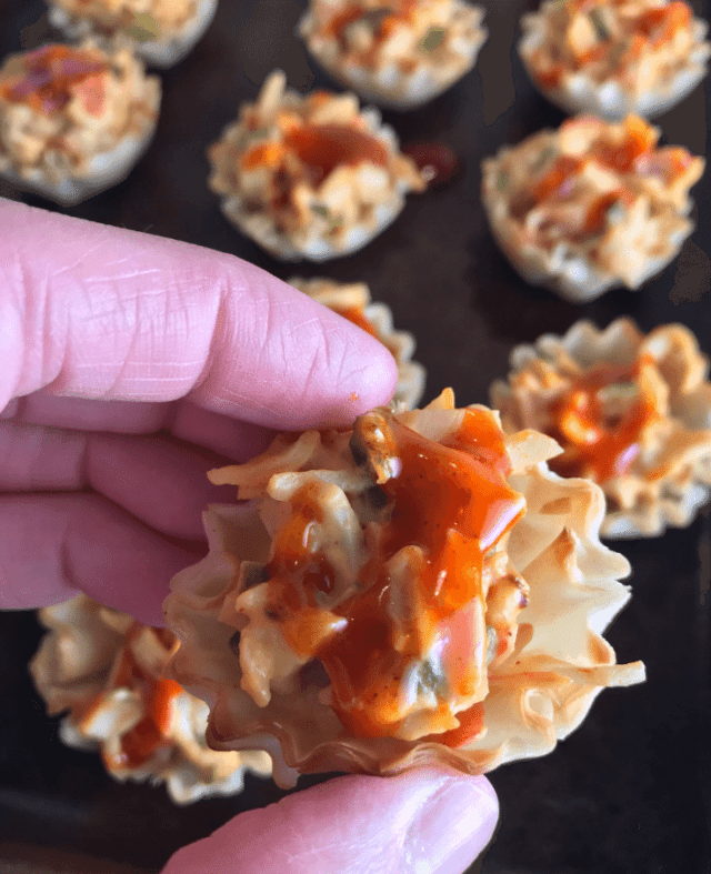 Crab Delight Bites on Meal Planning Mommies... a simple crab appetizer perfect for any party!